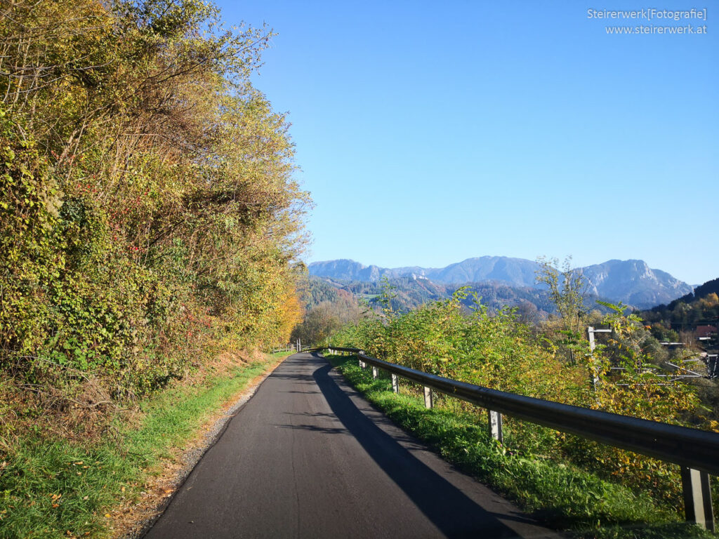 Murradweg in der Steiermark