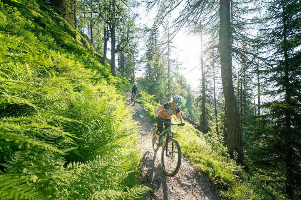 Schladming Dachstein Trails